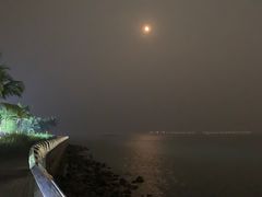 -野狸岛