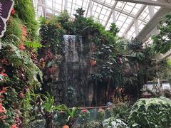 -正佳雨林生态植物园