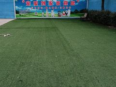 -宠物寄养训练学校