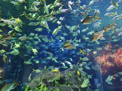 -成都浩海立方海洋公园