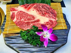 -千寻山野烤肉(中关村店)