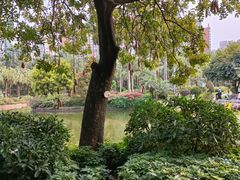 -广州珠江公园
