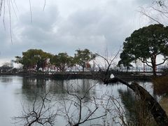 -无锡蠡湖国家湿地公园-蠡园