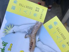 -昆明动物园