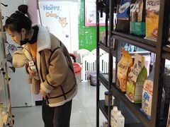-喵百万·布偶·蓝金金渐层英短·猫舍(百子湾店)