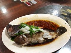 红斑鱼-岛中岛·海鲜大排档·万宁老字号(东澳店)