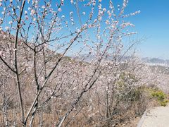 -定都阁