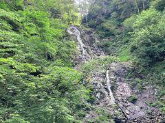 -凤凰山国家森林公园