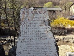 -黄花溪