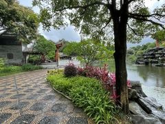 -顺峰山公园