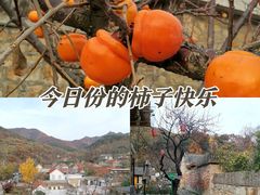 -里口山风景名胜区