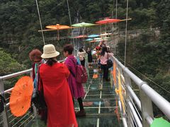 -九龙江国家森林公园