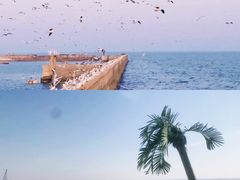 -巧克力渔家.小船海鲜家常菜(万平口店)