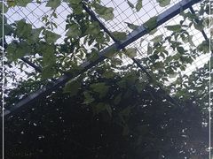 -伊隆斋(什刹海店)