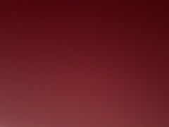 -顶好快餐(市府店)