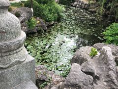 -花溪公园