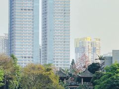 -东山湖公园