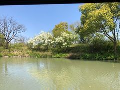 -西溪国家湿地公园