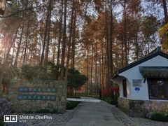 -杭州西湖风景名胜区-章太炎纪念馆