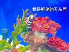 -厦门海底世界