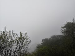 -含鄱口