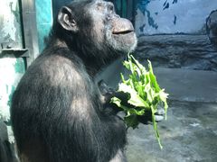 -鄂尔多斯野生动物园