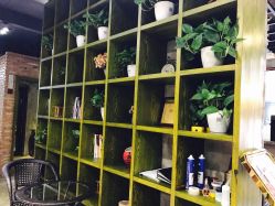 -In Style Hair Salon