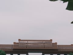 -三垟湿地