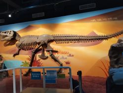 -北京科学中心儿童乐园