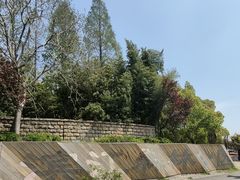 -上海滨江森林公园