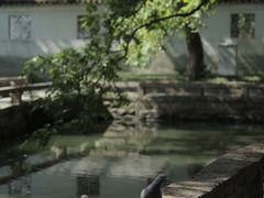 -西园戒幢律寺