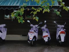 -富田农场