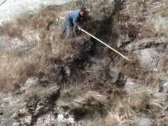 -老味道1992(武当山店)