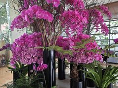 -深圳观澜格兰云天国际酒店