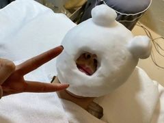-艾通康缘艾灸.疼痛.睡眠养生馆(凤凰城店)