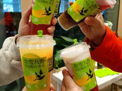 -奈雪的茶(正弘城PRO+店)