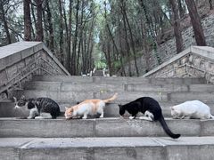 -四门塔风景区
