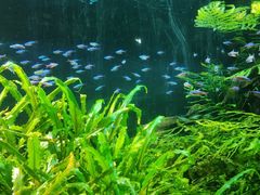 -上海海洋水族馆