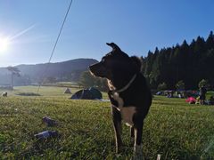 -武陵山森林公园