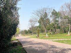 -盘龙城国家考古遗址公园