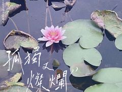 -嘉北郊野公园