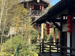 -大唐贡茶院