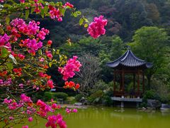 -云溪植物园