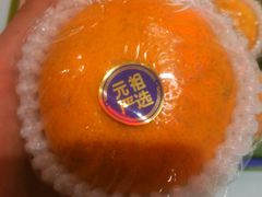 -GANSO元祖食品(卫清店)