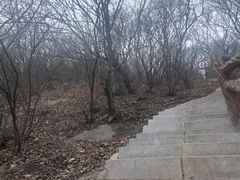 -棋盘山风景区