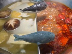 红颜花胶鸡锅-湊湊火锅·茶憩(上海合生汇店)