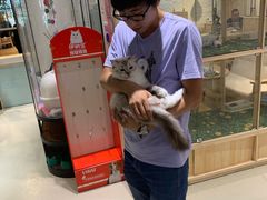 -藏猫猫咖啡主题馆(中央大道店)