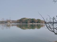 -昆山城市生态森林公园