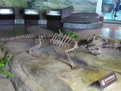 -自贡恐龙博物馆