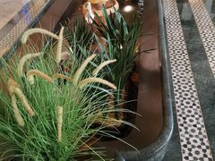 -青泰足浴·SPA养生连锁(新区店)